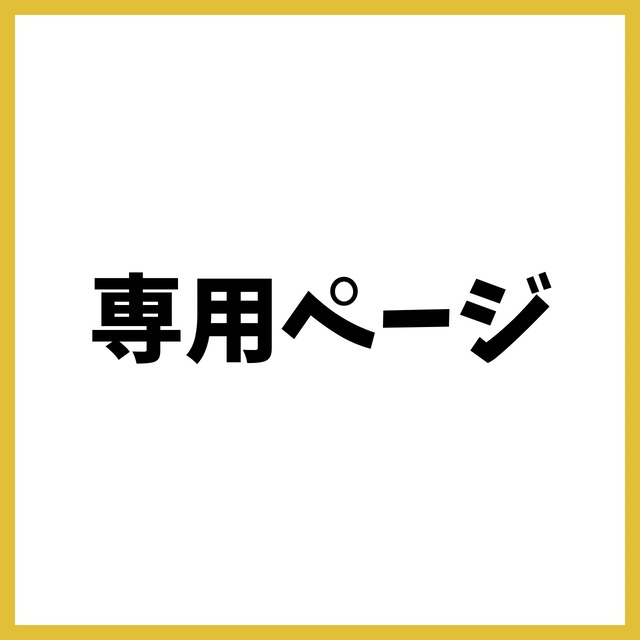 N様専用20250605