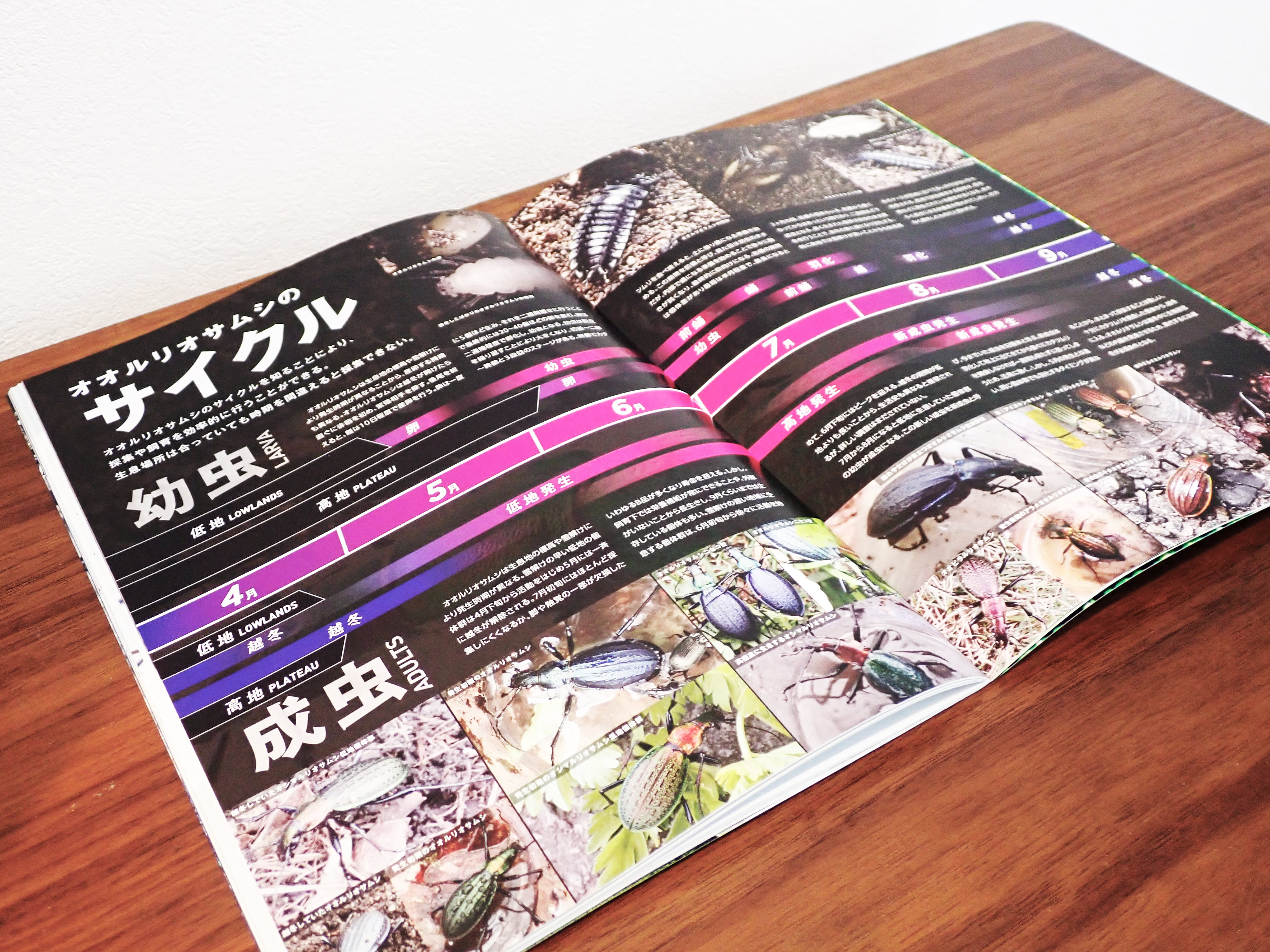 OSAMUSHI Vol.1 オサムシ専門雑誌 | BUGS-DESIGN