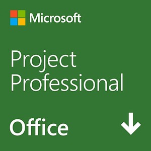 Microsoft Project Professional 2019 永続版|ダウンロード|Windows10|1台用