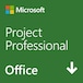 Microsoft Project Professional 2019 永続版|ダウンロード|Windows10|1台用