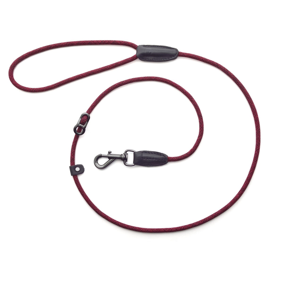 カラー＆スリップ（5mm） / Collar & Slip Leash (5mm) *Leader Leash