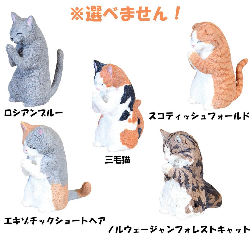 合掌猫 其の1 1個入り（全5種類） | 猫・ネコ・Cat・Chat・Gatto 全員集合
