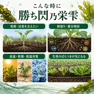 【送料無料】勝ち鬨乃栄雫　さかゆしずく　10L