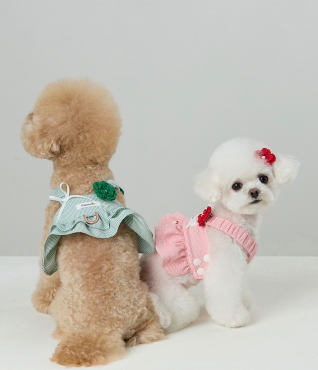 即納販売　Capri seersucker harness　カプリシアサッカーハーネス　韓国犬服