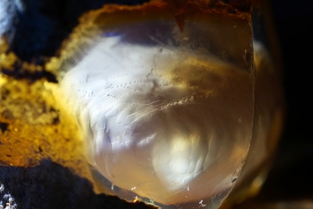 エッグ・イン・オパール Opal Egg 2