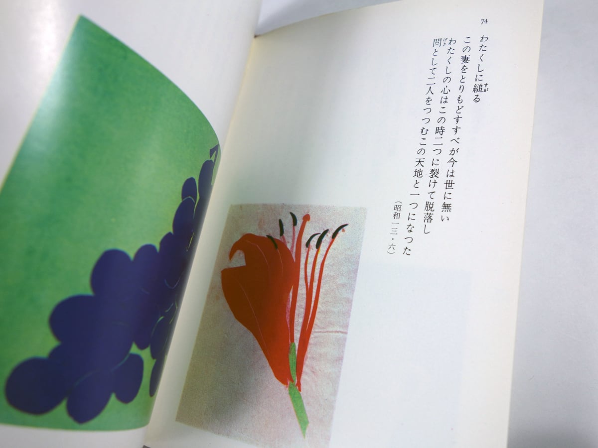 智惠子の紙繪 社会思想社刊 昭和40年初版 A1ySI0HL6rL._AC_UF350,