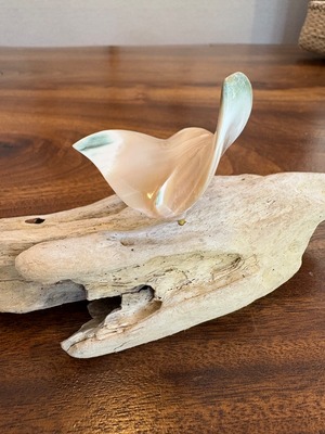 夜光貝マンタのオブジェ　沖縄の思い出に