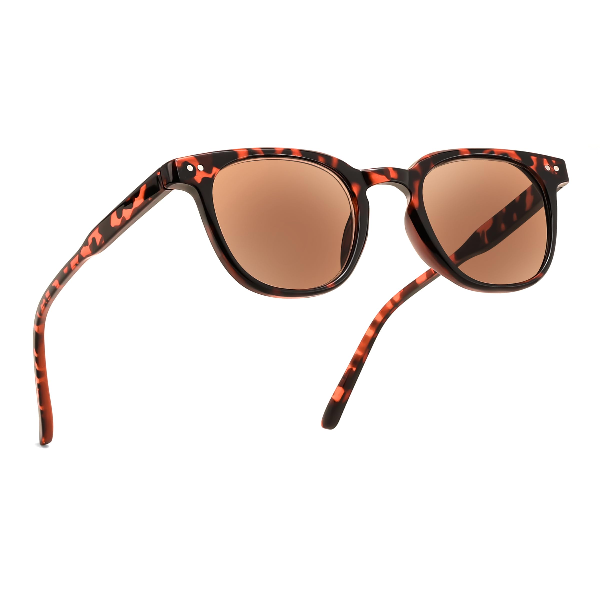 DITA Lancier（ディータ ランシアー）LSA-121‐01 Gold Sand // Land