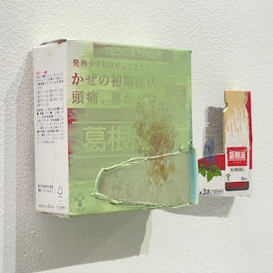 青野文昭｜《なおす・代用・合体・連鎖・地縛「薄緑欠片の補完と葛根湯の脱出」2025》