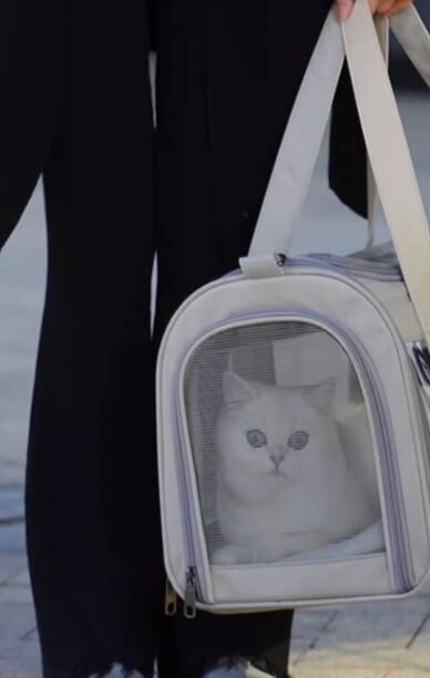 キャット 猫 ドッグ 犬 小型犬 キャリー ベッド バッグ ポータブル