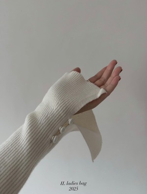 IL ladies bag １５