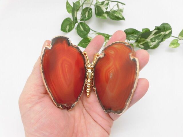 【瑪瑙】　ゴージャス蝶々　no.2