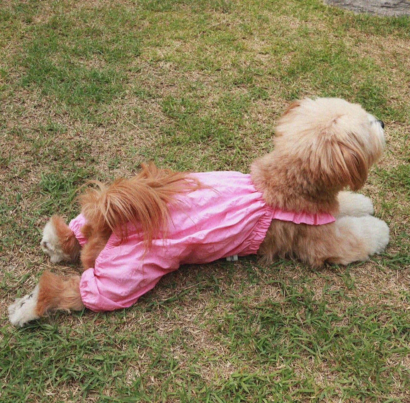 予約【noonoosoom】Dots Ballon Allinone (Pink)