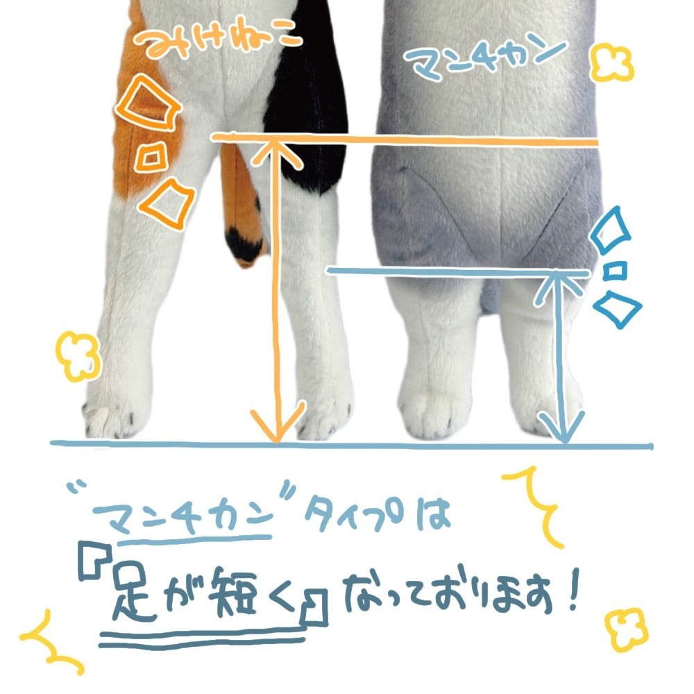 たっちぃZooにゃんこ マンチカンシルバー | リードのおみせ Catail