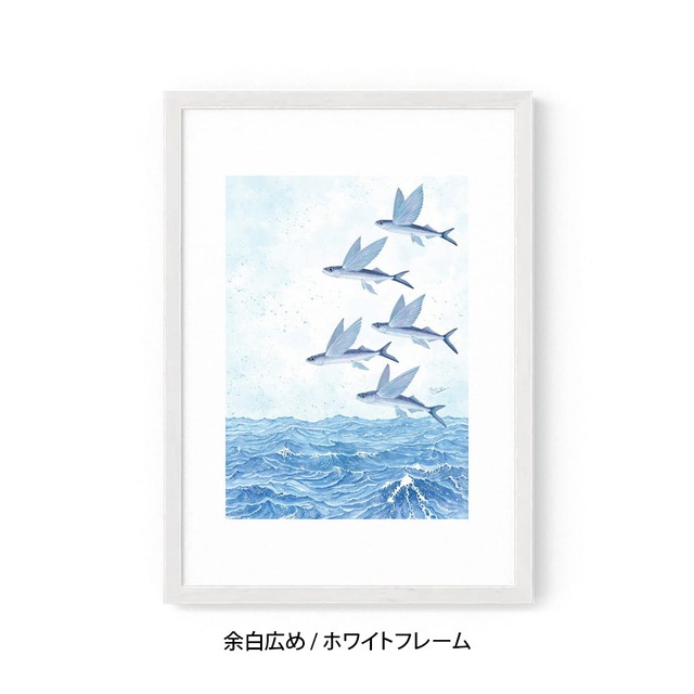 A3｜魚翔海図（ぎょしょうかいず）（フレームあり）