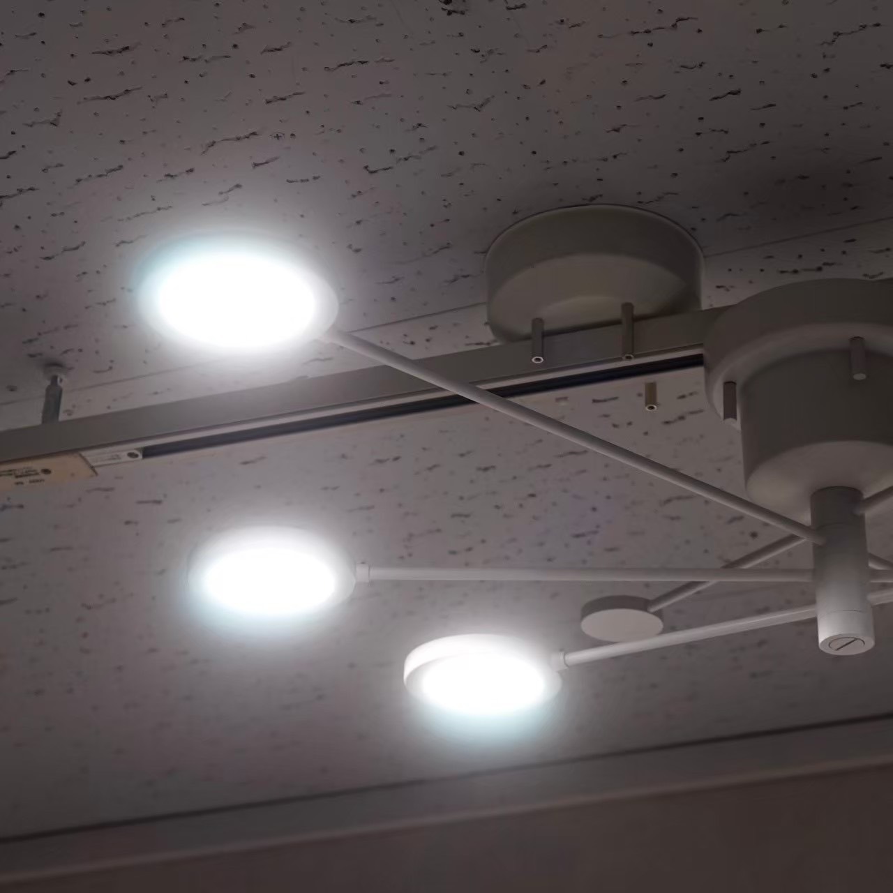 BeauBelle ボーベル ARC アーク シーリングライト LED 照明 天井照明 ダイニング ライト モダン 北欧 ミニマル