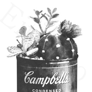アートポスター / Cactus in the can [mono]　eb172