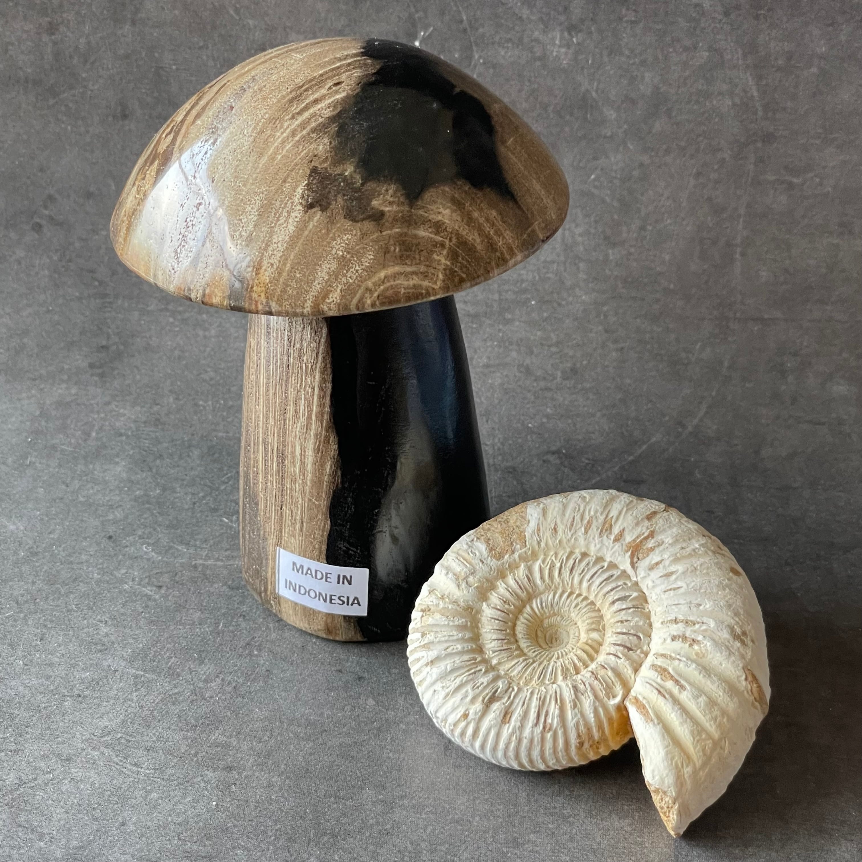 インドネシア産♦︎Petrified Wood ペトリファイドウッド|mushroom