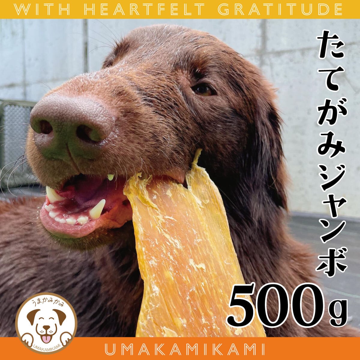 【感謝祭】馬のたてがみ ジャンボ 500g前後