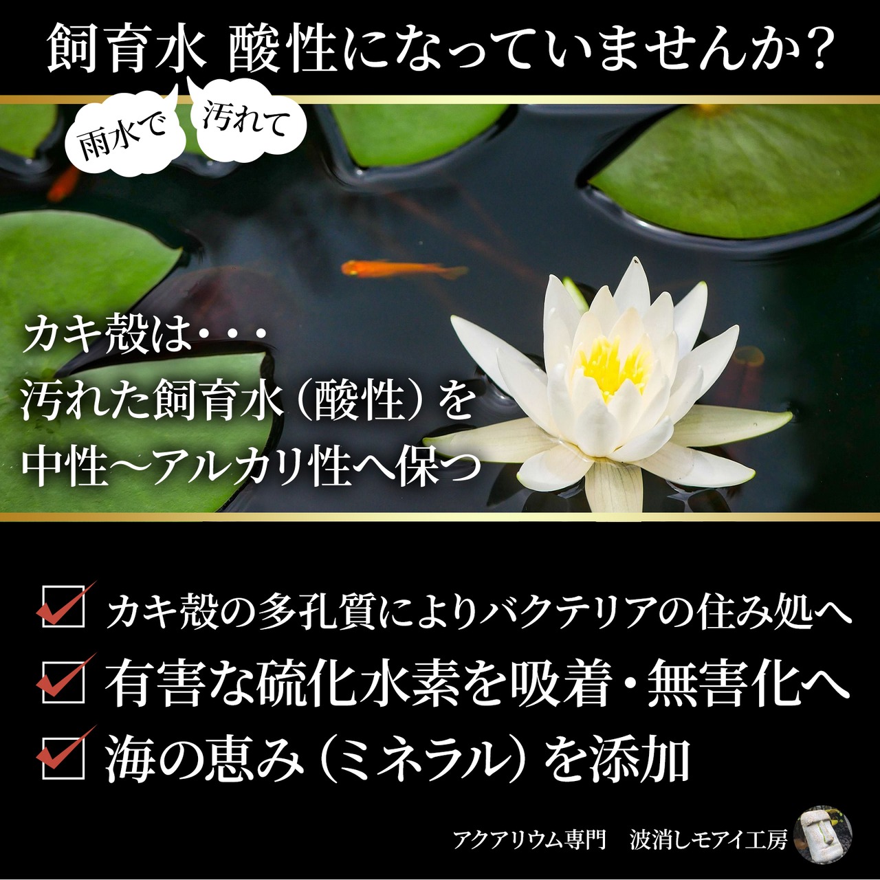 めだかきがら(小粒) 100g×6袋入り
