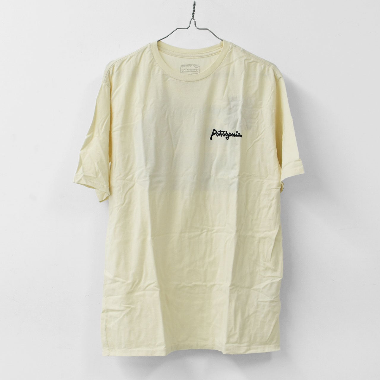 ☆まる☆専用ページ Patagonia [パタゴニア正規代理店] M's Aquatic Action Organic T