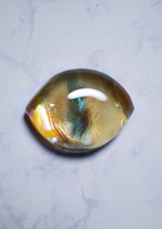 cat's eye