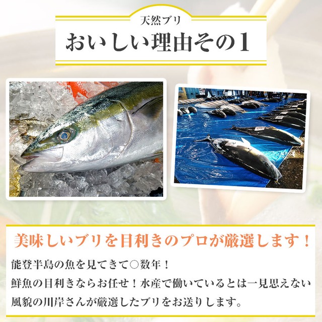 日本海富山湾の贈り物 ( ブリしゃぶ /　昆布締め刺身/　ホタルイカ沖漬け）ギフトにぴったり。