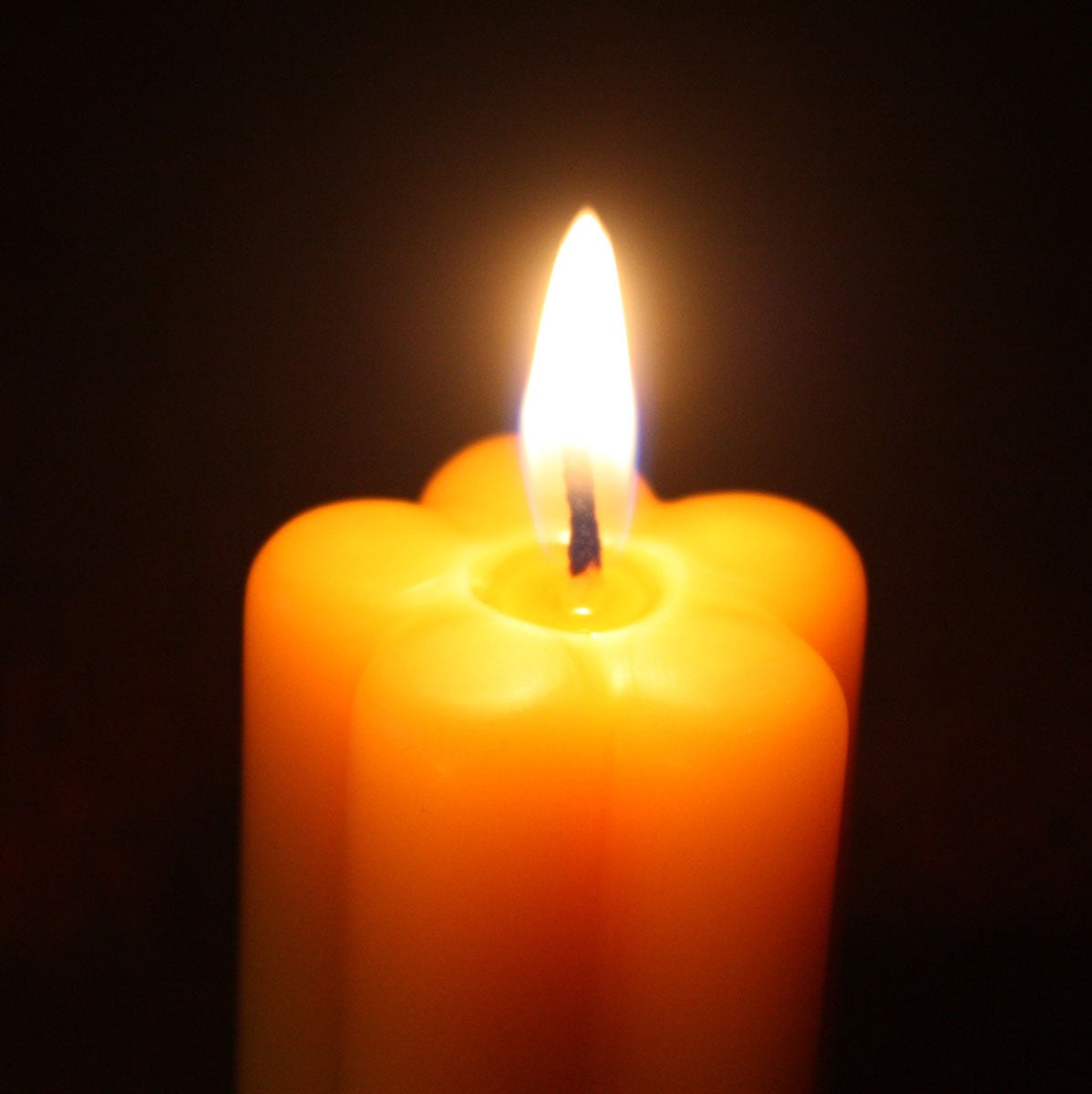 U-1 梅 蜜蝋キャンドル