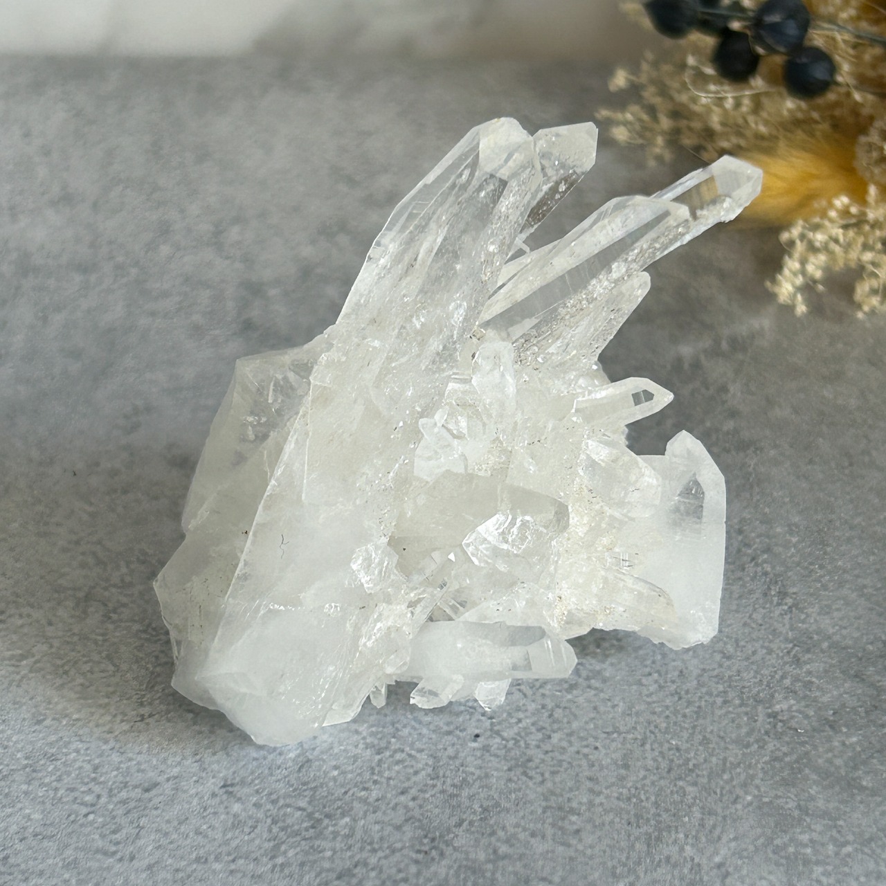 コロンビア産 レムリアンシード/レインボー・セルフヒールド