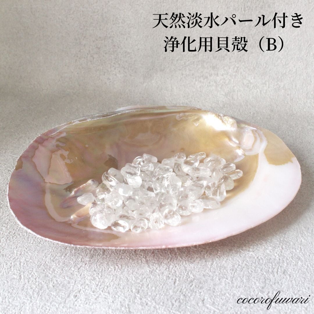 ★特選NEW★浄化✴︎エネルギーUP☆得々２枚【イケチョウ貝パールシェルトレイ】❤️ ☆特選NEW☆浄化✴︎エネルギーUP☆得々2枚【イケチョウ貝