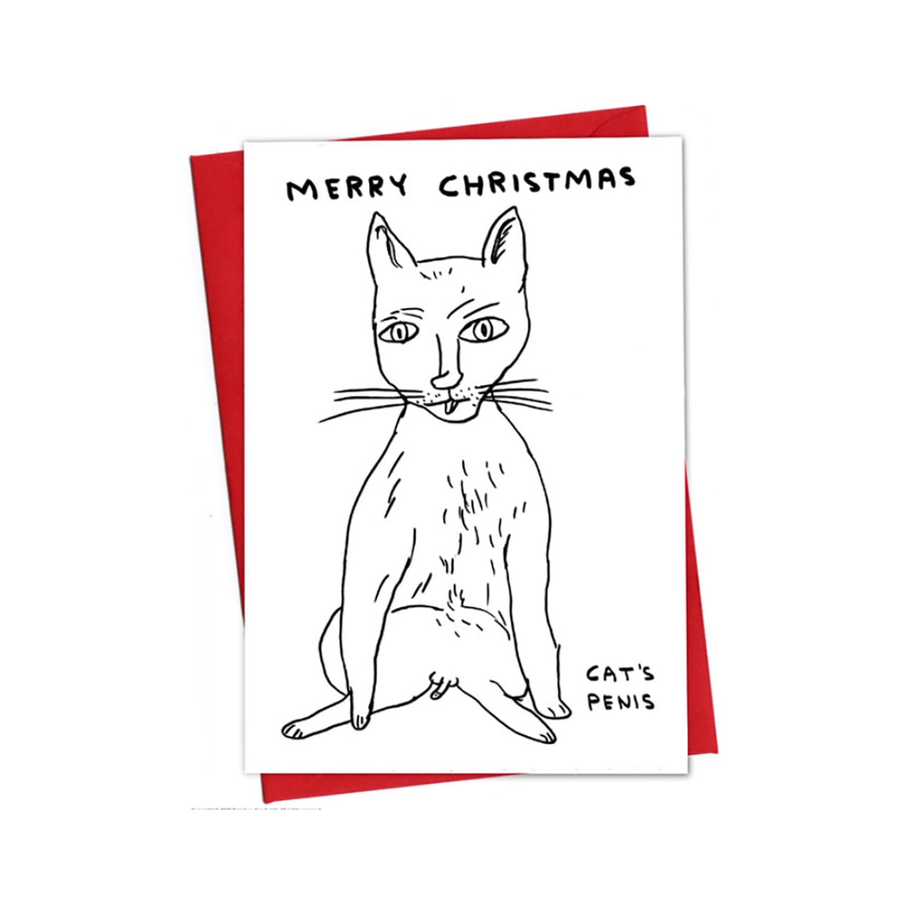 雲龍 息吹之笛 | ON SUNDAYS