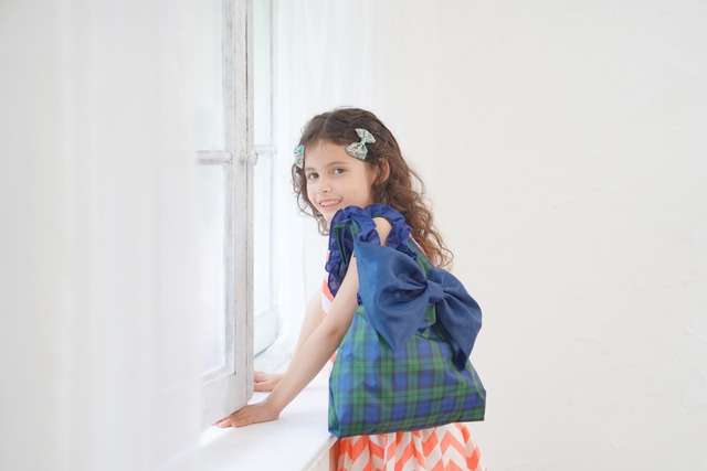 ピコフリルバッグ～GreNavyー～