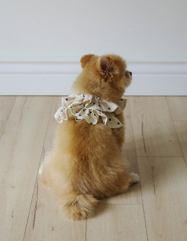 〈予約アイテム〉OHDIBS / capeness no.13 leash _ Cream Dot