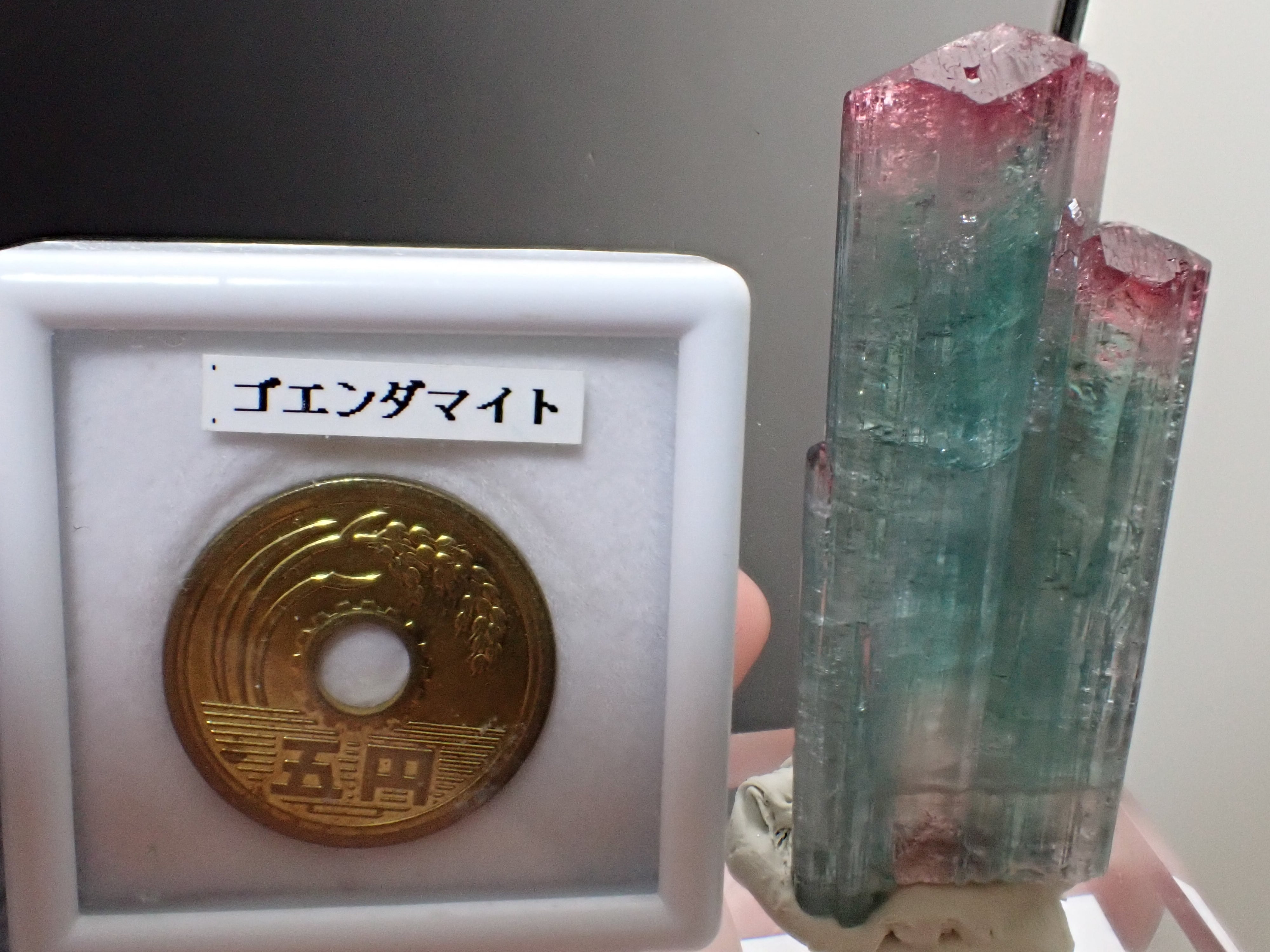希少CoronelMurta産】トルマリン リシア電気石 原石 標本 | 石処たっちゃん