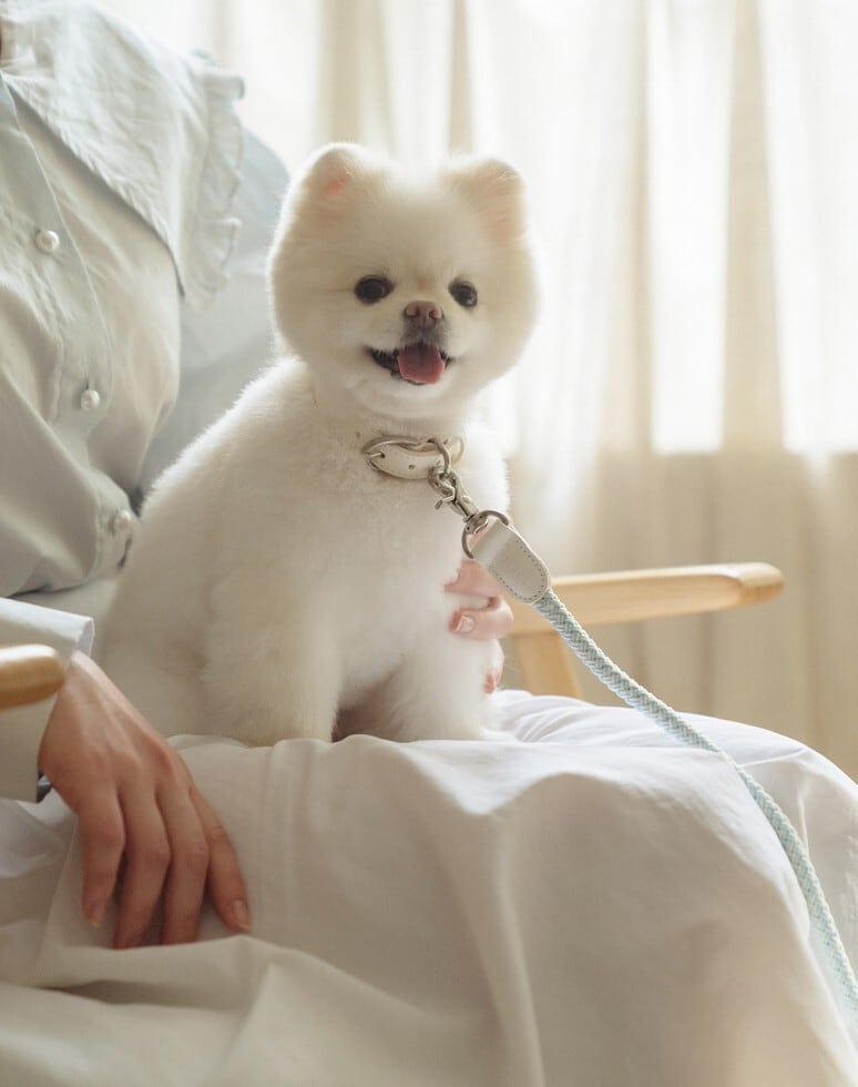 即納【stroll】Rope Leash Classic (Soda)