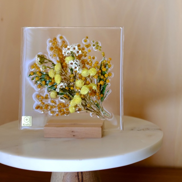 sumika dried flower square　ミモザ