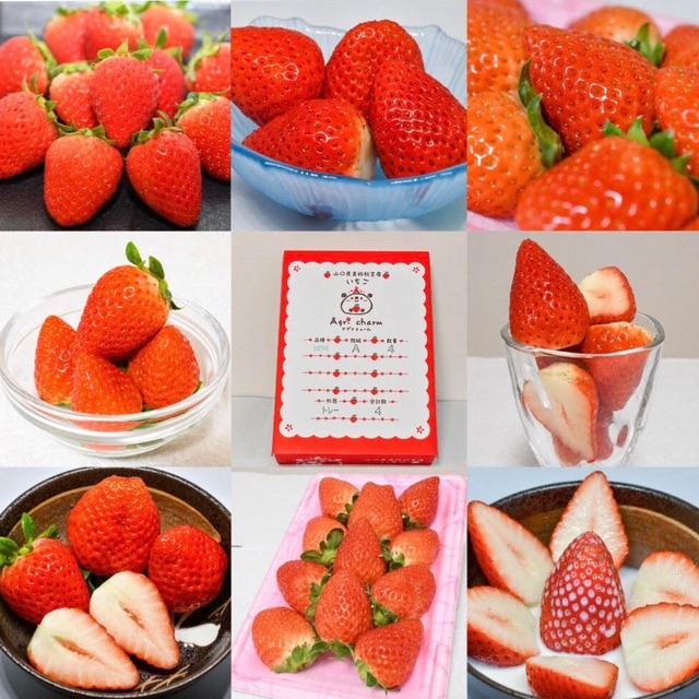 【3～4月発送】秋吉台いちご食べ比べセット⭐︎4パック