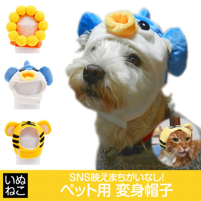 犬 猫 かぶりもの 仮装 変身 アクセサリー 被り物 コスプレ 帽子 さかな フグ ひまわり リング トラ ライオン風 いぬねこ ペット帽子 いぬねこ ペット用品ショップ ペットウェア お散歩グッズ 首輪 ベッド