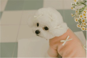 即納【pecoramou select】マリファオールインワン (ピンク)