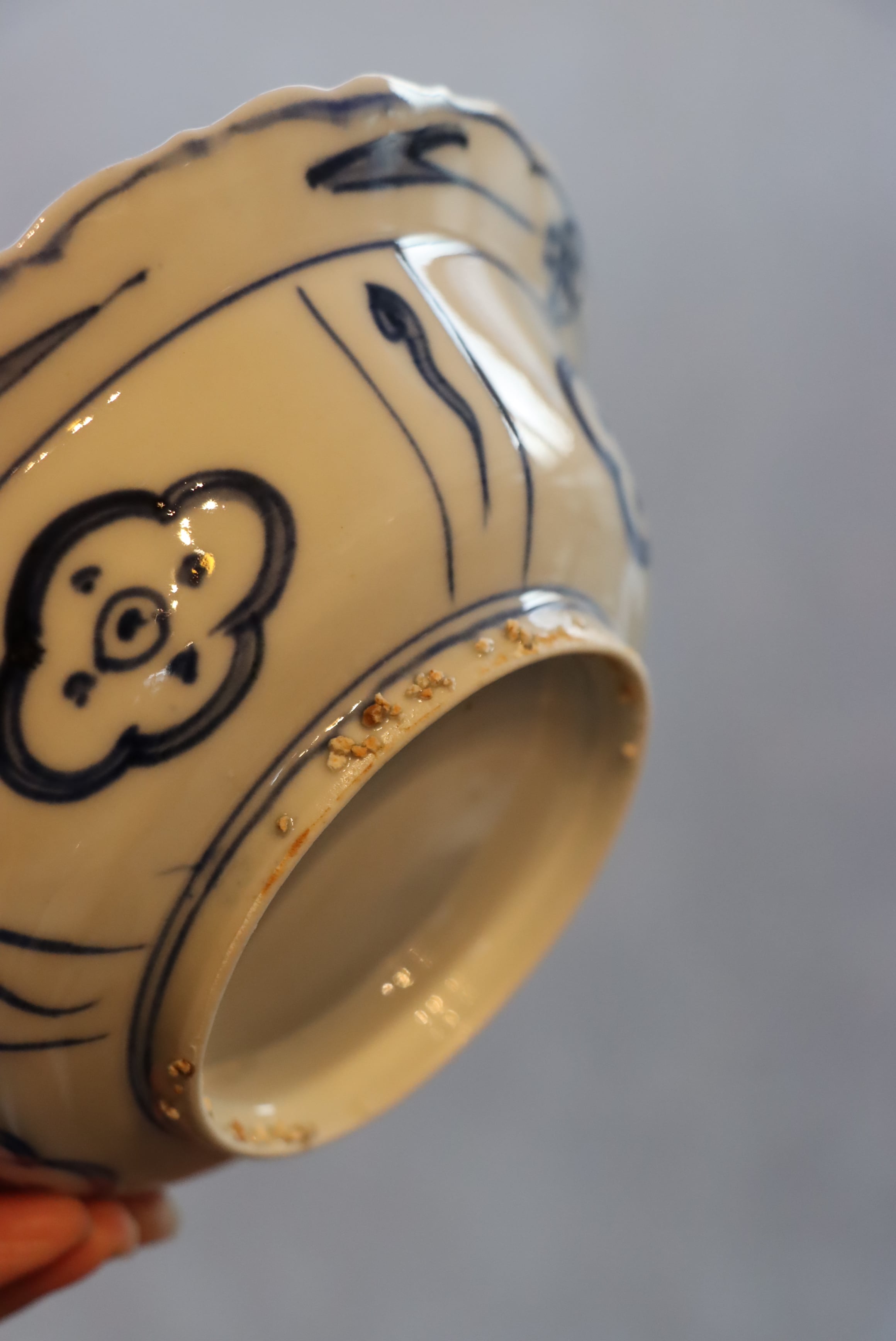 24-1222 古染付 芙蓉手秋虫植物文様6.3寸皿 明染付 ひまわりの種 中国