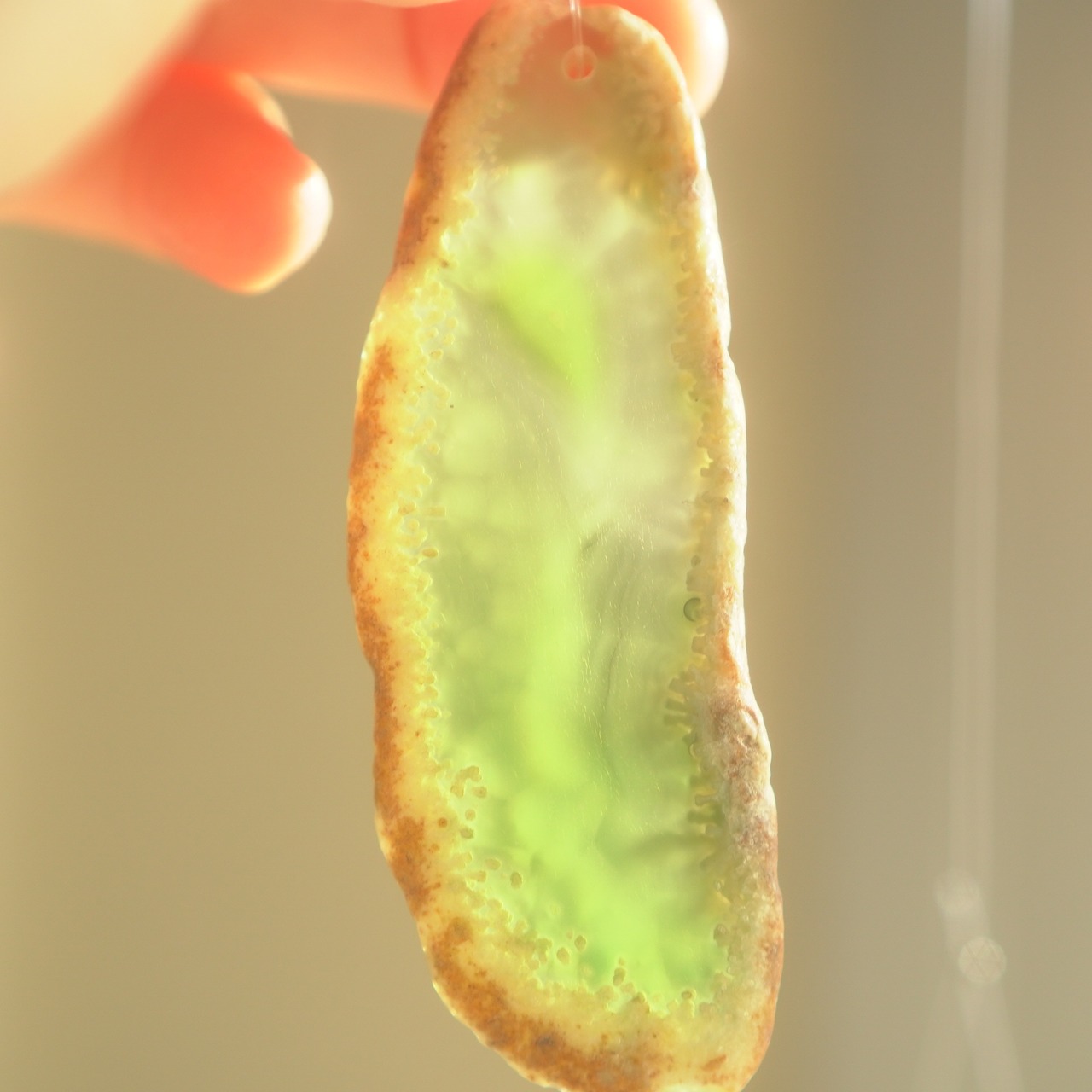 Lemon Tree 03 - アゲートヒーリングチャイム / Agate Healing Chime 1153