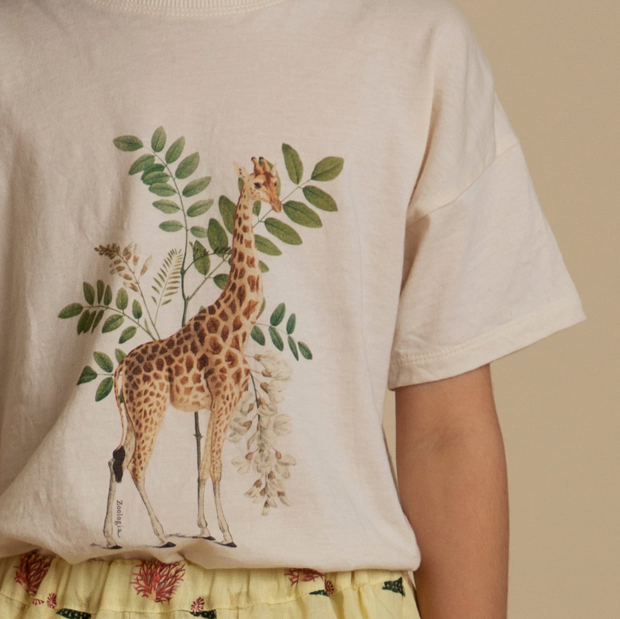 キリン きりん 動物 Tシャツ Tシャツ 綿 Wanted プリント デザイン イラスト キッズ かわいい 男の子 動物園 アフリカ 通販 キリン アフリカ動物女性 Redt シャツ Wellcoda Wilsonvillecoc Com