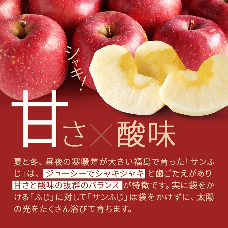 【家庭用・訳あり】りんご サンふじ 3kg
