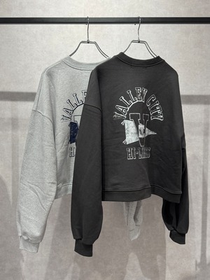VALLEY zip up sweat