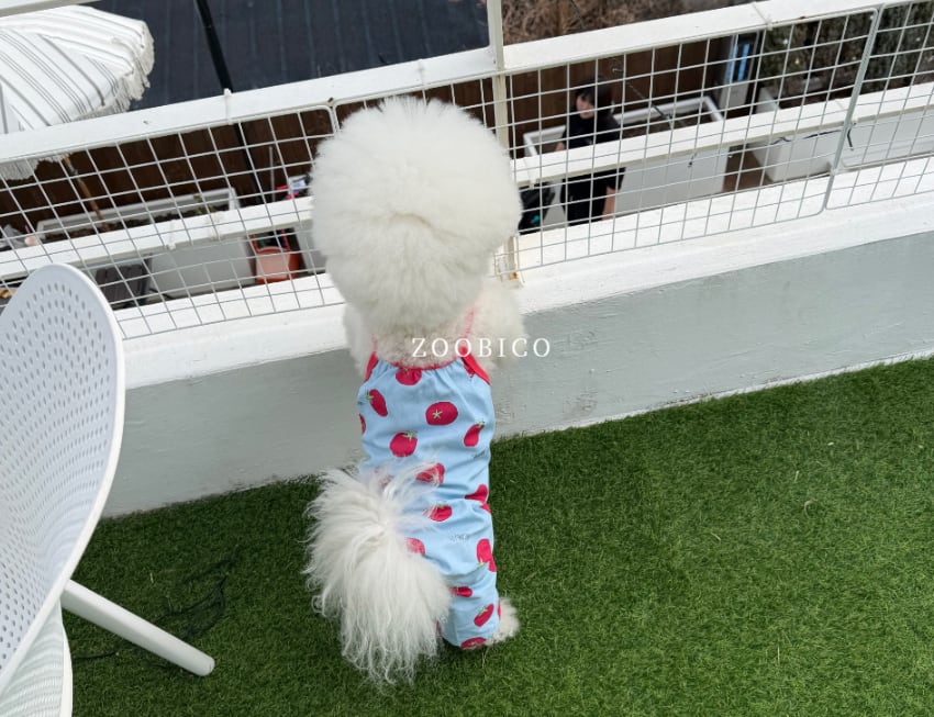 tomato all in one S ~ XL 2color / 犬服 新作 夏 袖なし 可愛い犬の服 ドッグウェア オールインワン  ペット ワンコ服 小型犬 中型犬 猫 ロンパース tsu45
