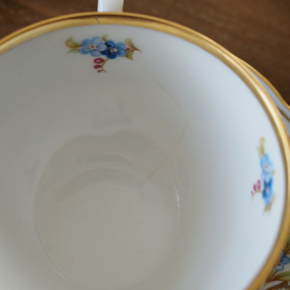 訳あり】シューマンババリア 勿忘草 カップ＆ソーサーB ドイツ