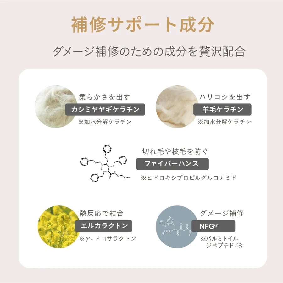 コアプレックス シャンプー400ml / ESTABLISHED（エスタブリッシュ