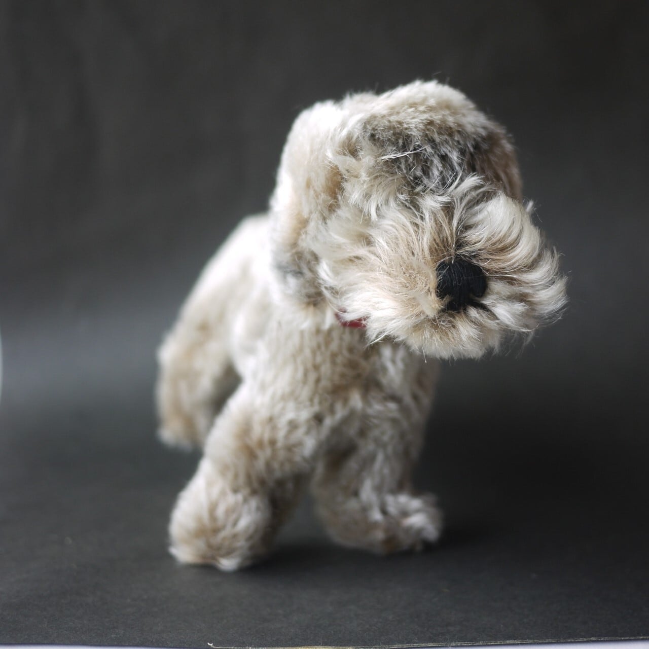 シュタイフ Raudi ワイヤーヘアーダックスフント ドイツ STEIFF