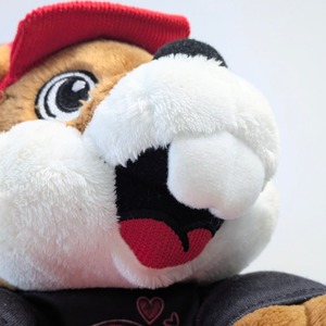 【 Buc-ee's（バッキーズ） 】 バレンタイン限定BIGプラッシュ / ぬいぐるみ 〚アメリカン雑貨 アメトイ〛