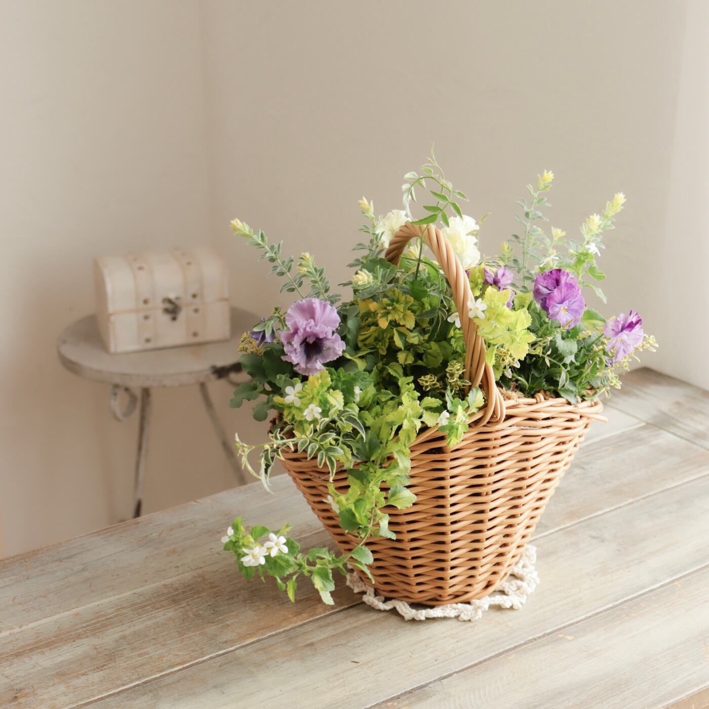 寄せ植え花□ブルーでレディな寄せ植え□ビオラレディ斑入りブルー